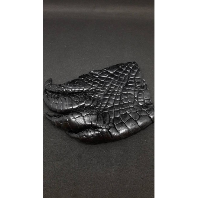 Лапа крокодила черный чулок 12 см фото